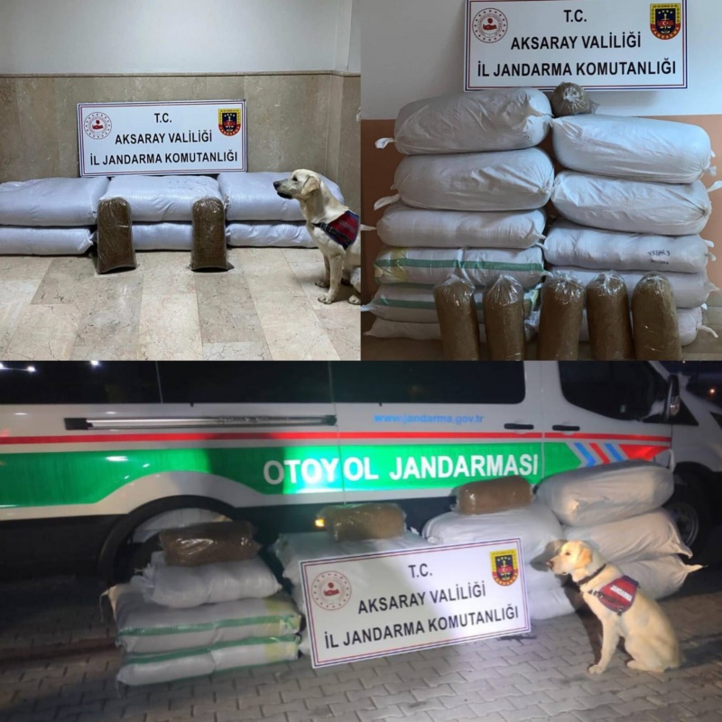 Otoyol Jandarmamızdan Kaçak Tütün yakalama