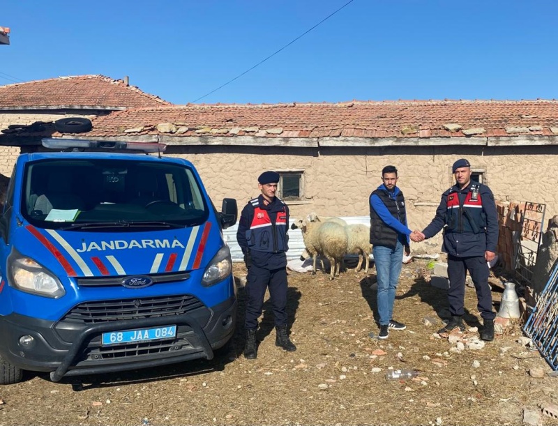 Aksaray da Kaybolan Koyunları Drone Destekli Arama İle Bulundu